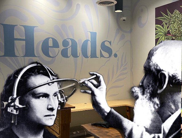 heads cannabis