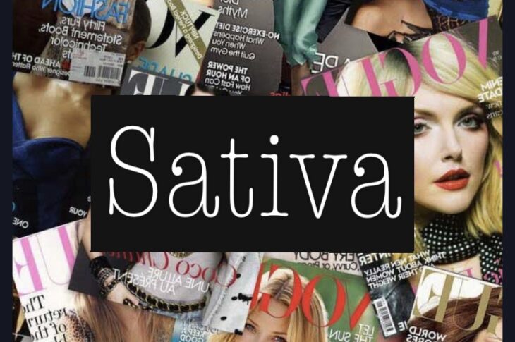 sativa meaning