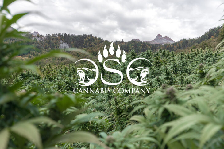 OSO Cannabis Company
